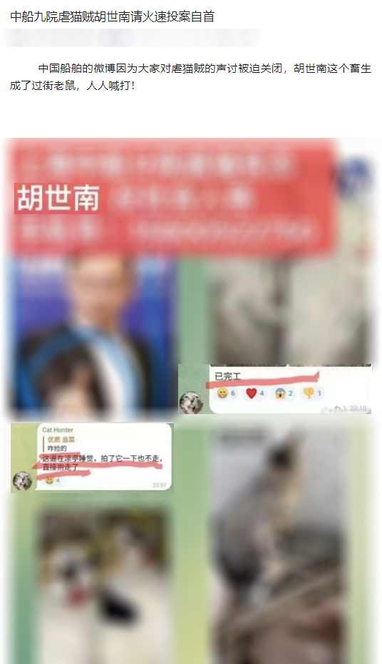 點擊查看大圖 點擊查看大圖