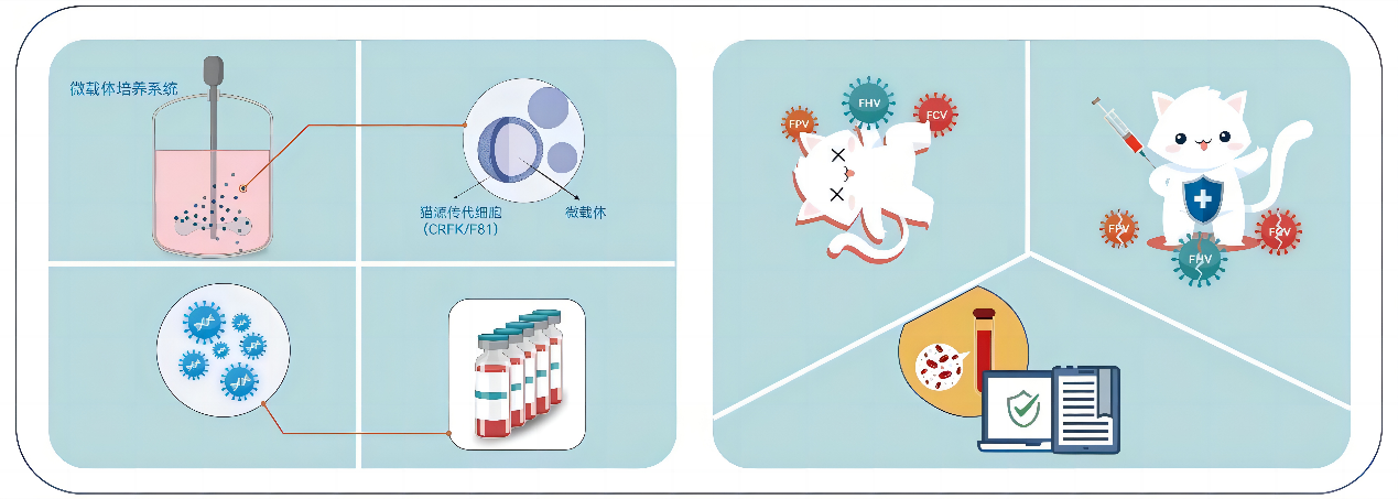 點擊查看大圖 點擊查看大圖