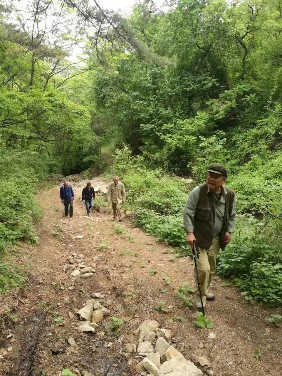 點擊查看大圖 點擊查看大圖