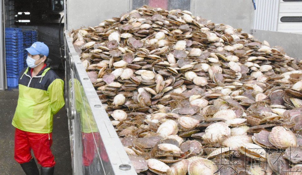 點擊查看大圖 點擊查看大圖