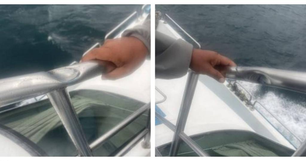 點擊查看大圖 點擊查看大圖