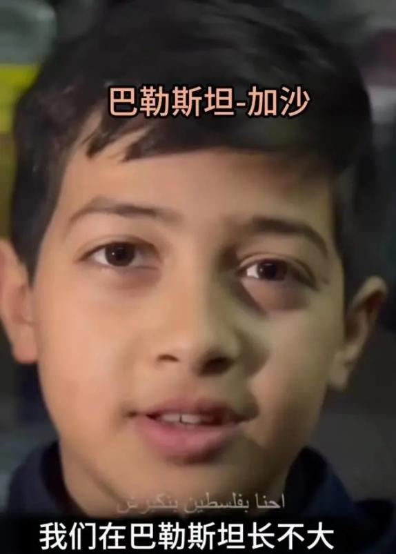 點擊查看大圖 點擊查看大圖